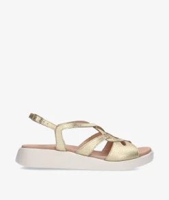 Mujer Wonders Sandalias*Sandalias C-6550 en platino